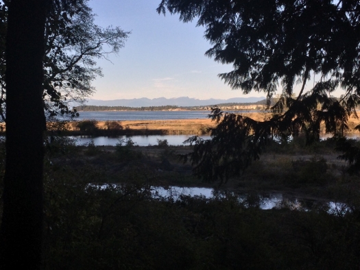 living_forest_campground